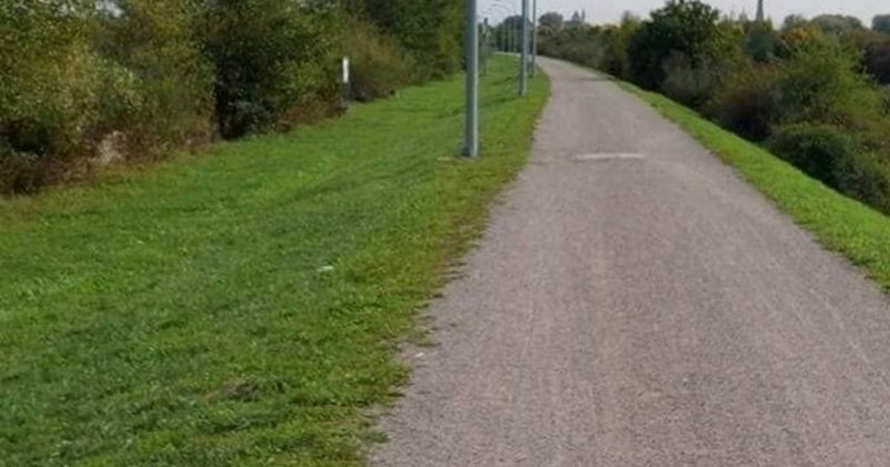 Ljude nasmijala fotka bizarno postavljene rasvjete u Srbiji, morate vidjeti ovaj promašaj