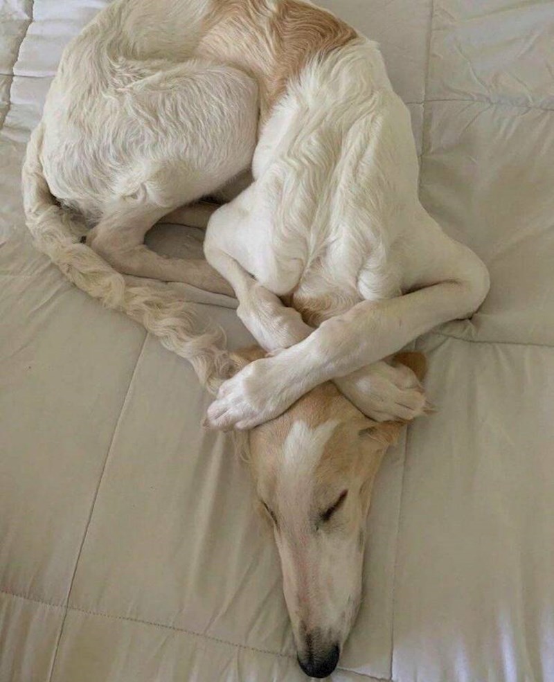 9. Kakav slatkiš! 😍