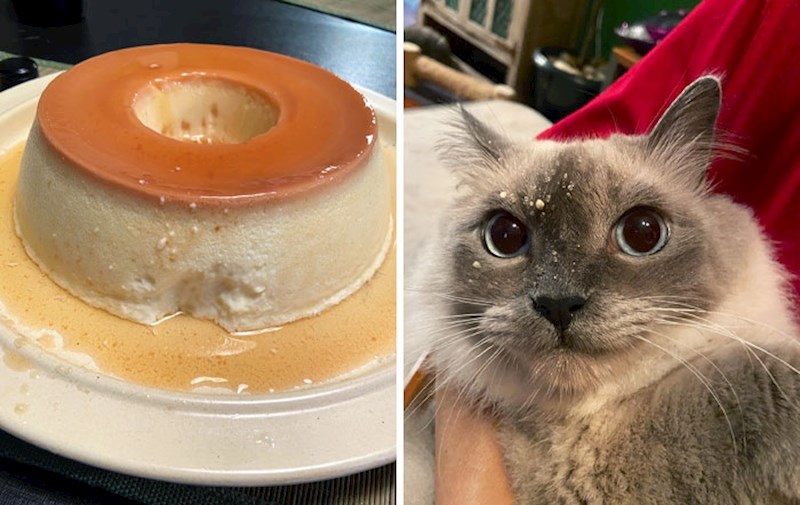 Netko se malo počastio