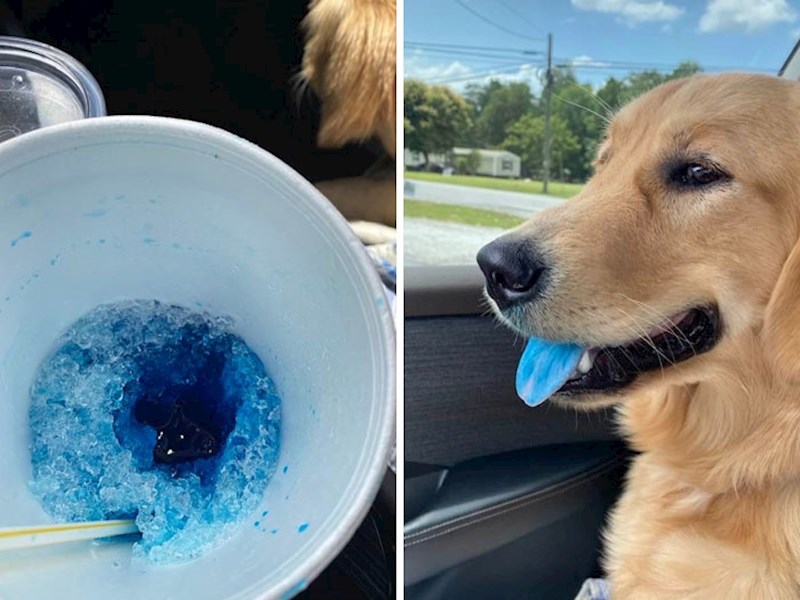 Odala ga je boja jezika 😆