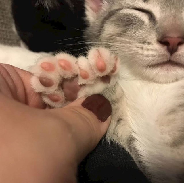 1.