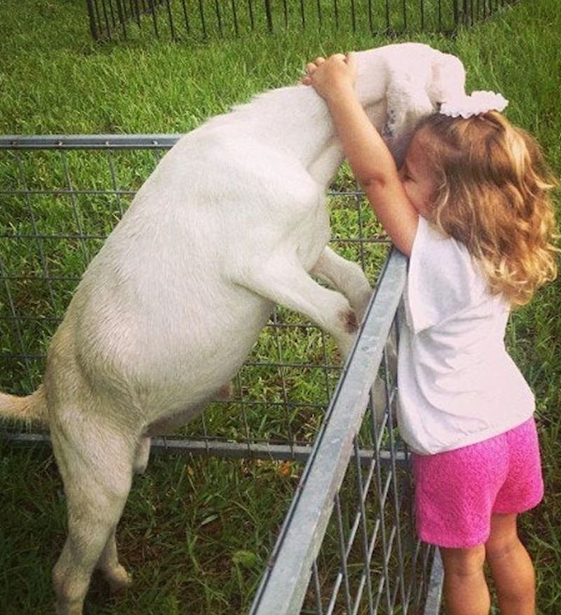 "Bili smo u zoološkom i sprijateljila se s kozom. Naravno da nas je pitala može li s nama kući"