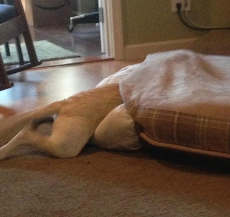 Ovako se i mi osjećamo nakon svakog izlaska koji je predugo trajao