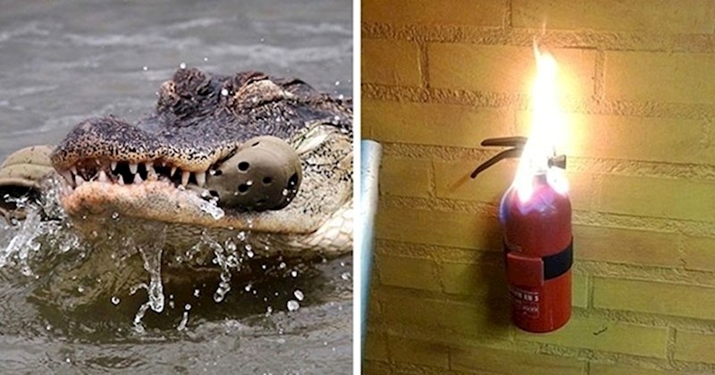 25 slika u kojima će uživati ljubitelji ironije i sarkazma