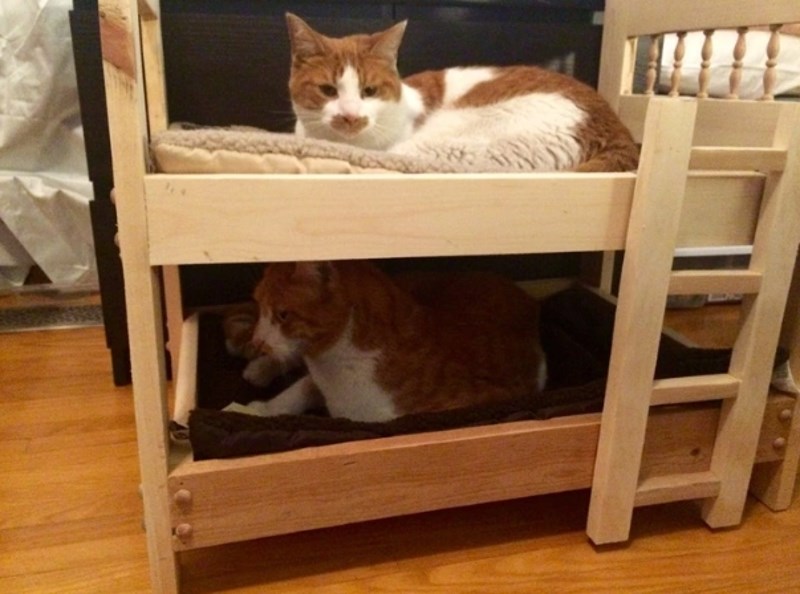 13. "Nije ih htio, ali im je svejedno napravio krevetiće za spavanje."