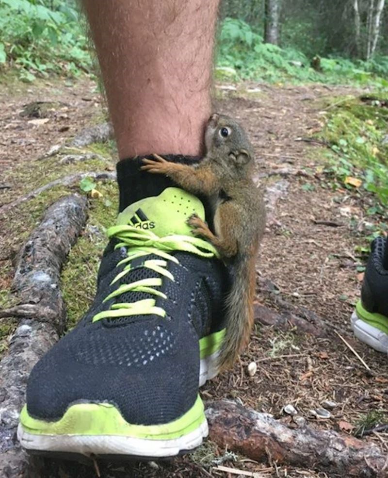 10. "Malo sam pristao popiti vode i pogledajte što mi se popelo na nogu."