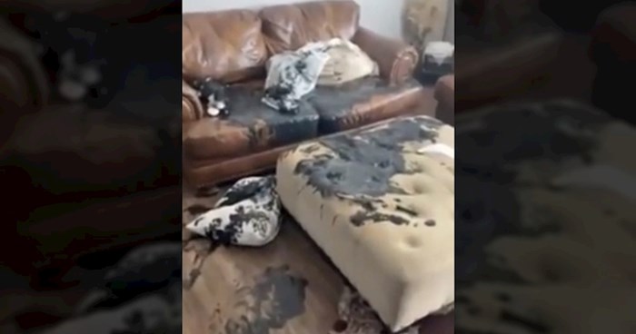 Tip ušao u dnevni boravak i vidio ogroman nered, a onda je ugledao preslatkog krivca. Video je hit