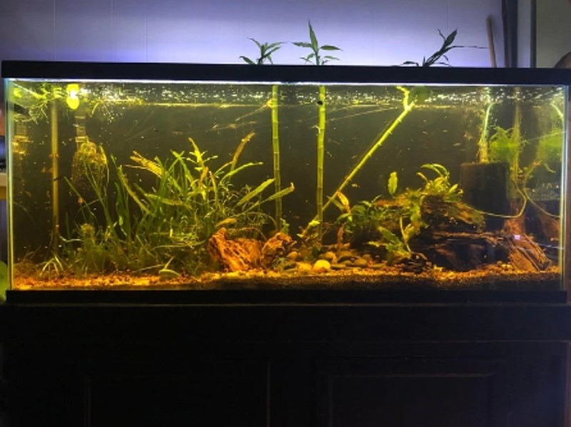 4. Nikad mi neće biti jasno zašto ljudi bacaju stvari. Ovaj akvarij je u savršenom stanju, a inače dođe nekoliko stotina dolara!