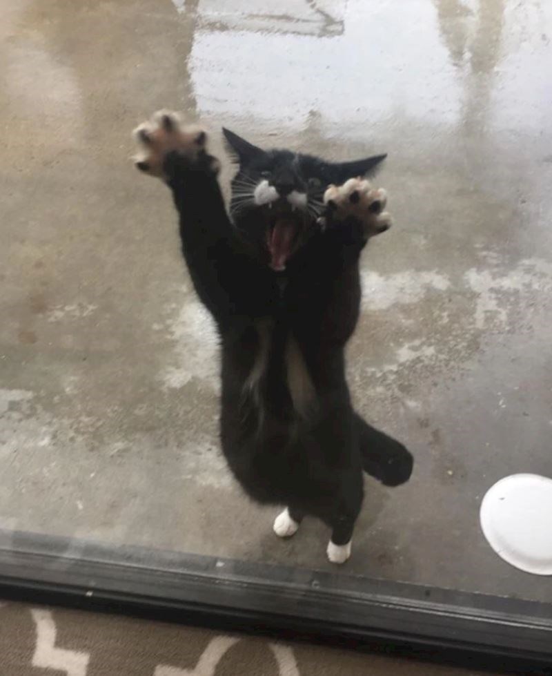 13. "Netko očito nije obožavatelj kiše kad je ne promatra iz suhe kuće..."