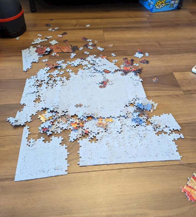 12. "Htjela sam okrenuti puzzle i zalijepiti ih pa staviti u okvir. Sve je prošlo po planu..."