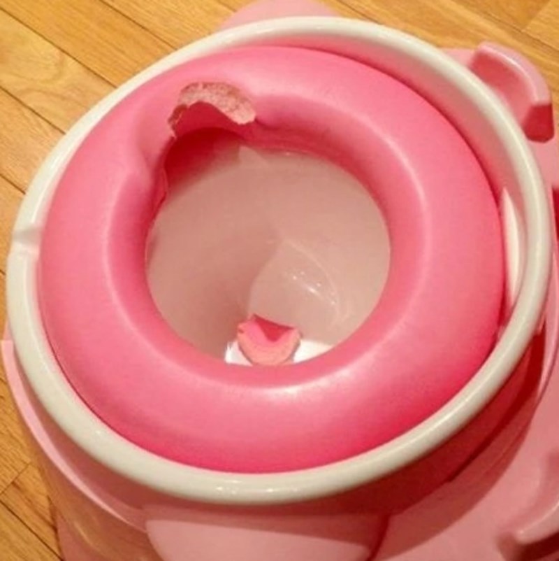 "Treniranje na kahlicu dobro napreduje..."