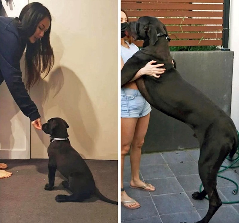 "Na drugoj slici ima samo jednu godinu. Očekujemo da će još porasti..."