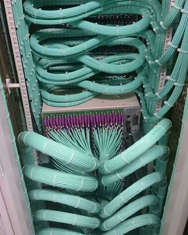 11.