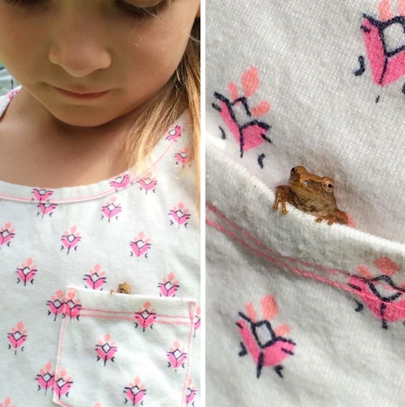 16. "Ovaj mališan se pokušao sakriti u majici moje kćeri."