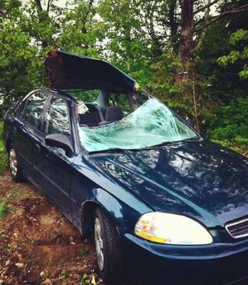 "Vozili smo se i onda je od nigdje izletio jelen. Malo je reći da ima štete na autu."