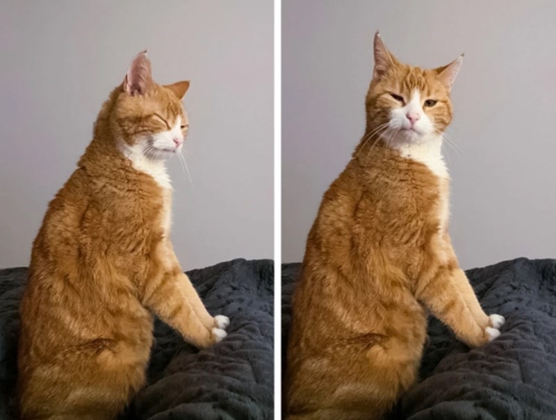 "Slučajno sam ga probudila i nije bio nimalo sretan."