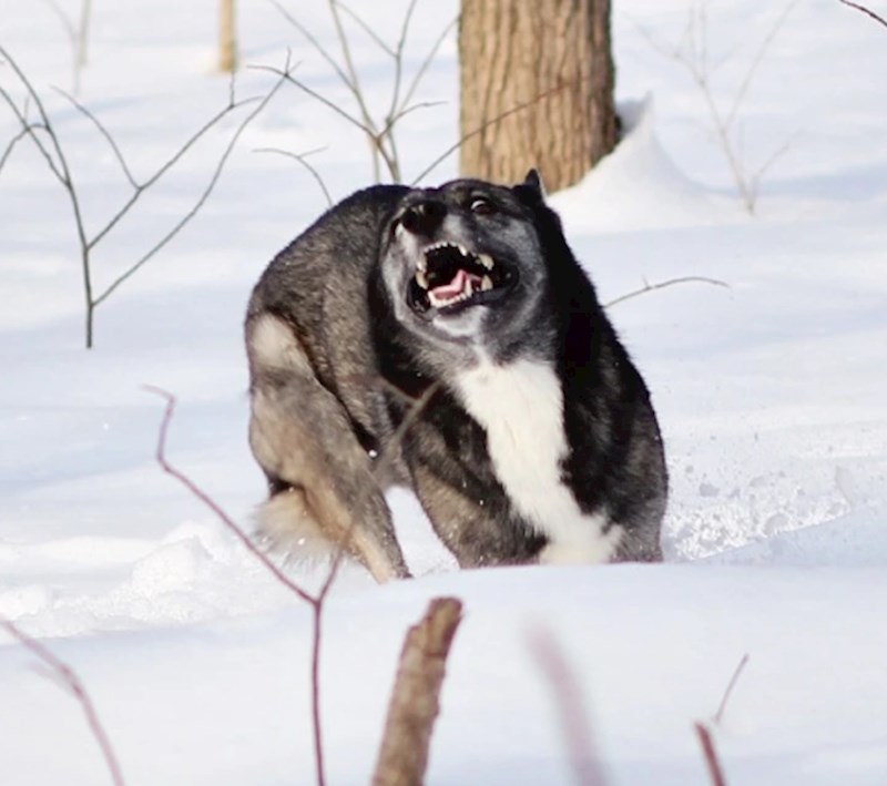 "Ovo se zove prava sreća"