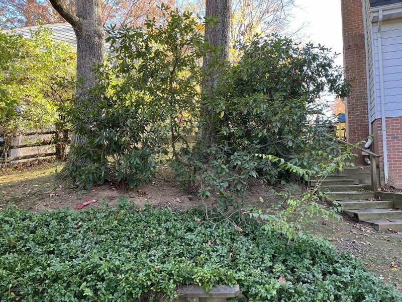 Možete li na ovoj fotografiji pronaći jazavčara?