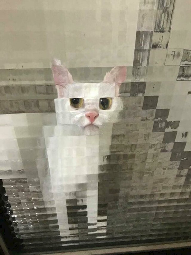5.