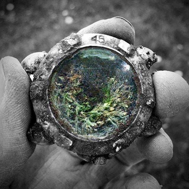 5. "Pronašao sam ovaj predivan sat. Tko zna koliko je dugo bio u šumi"