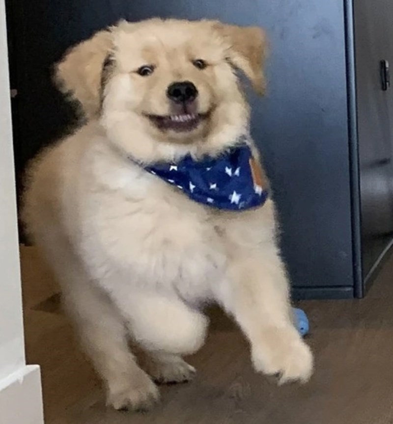 7. "Čuo je da smo otvorili vrećicu s poslasticama."