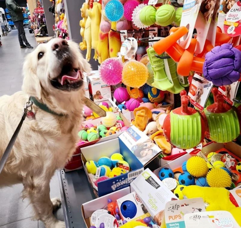 "Došao je u omiljen dio u trgovini"