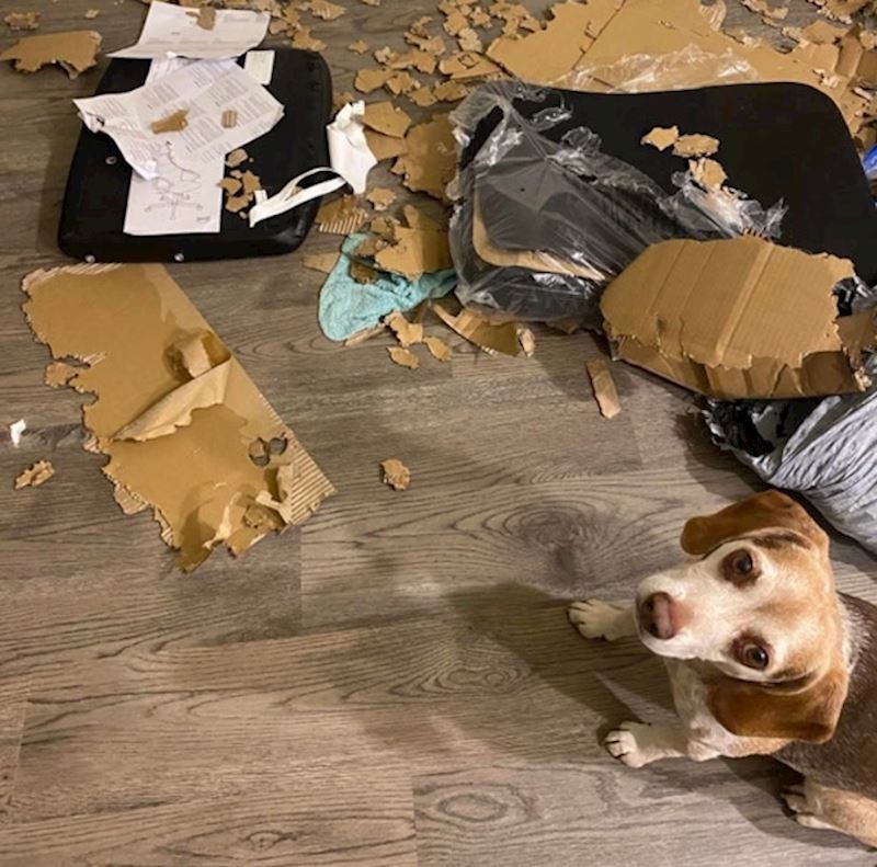 "Otvorila je paket da ne moram ja"