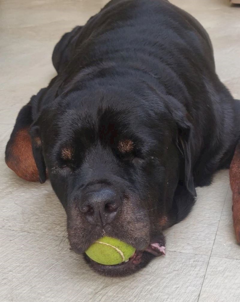 "Da, ovako on spava."