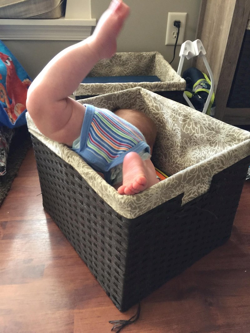 1. "Moj malo previše znatiželjni sin koji se posvuda zavlači otkad je počeo puzati"