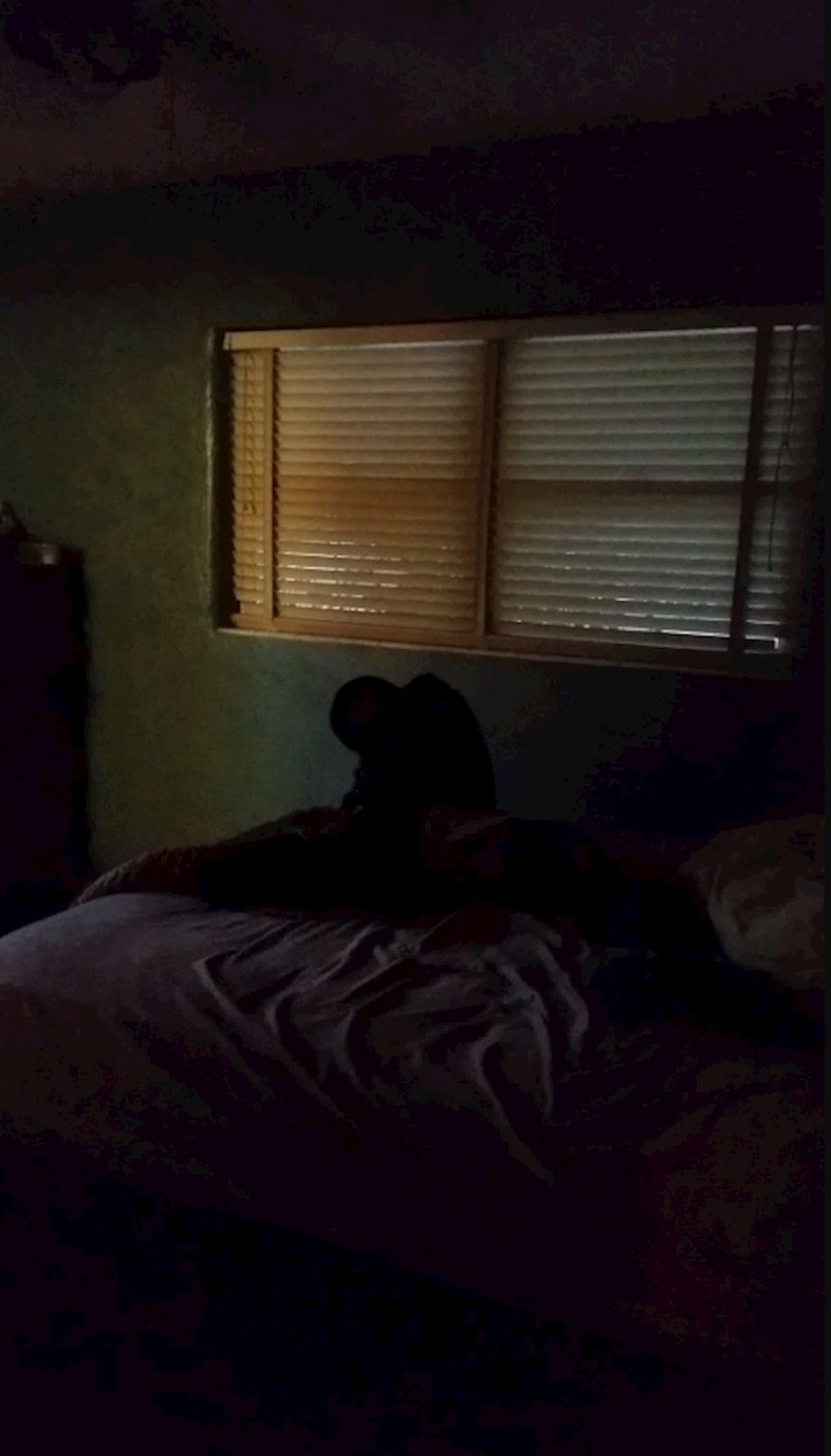 12. "Moj ruksak koji u mraku izgleda kao neko opsjednuto biće iz pakla..."