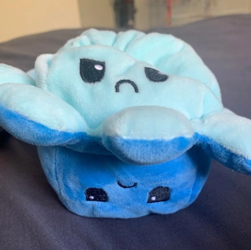 "Ova hobotnica inače ima sretnu i tužnu stranu. Meni je došla samo tužna hobotnica..."