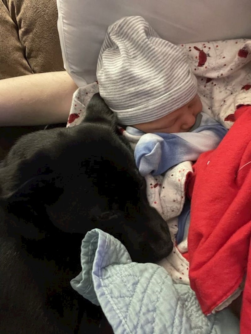 8. "Čuva svoje (i moje) blago"