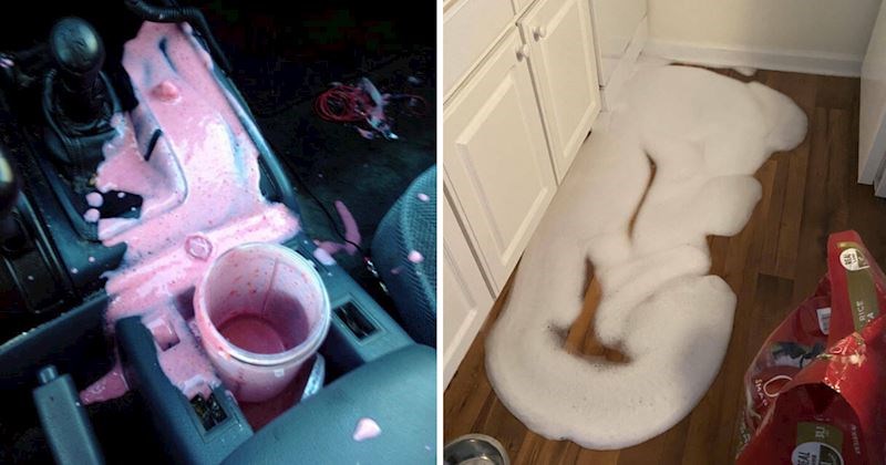 10+ ljudi za koje je malo reći da su imali loš dan, a najgore je što su si za to sami krivi