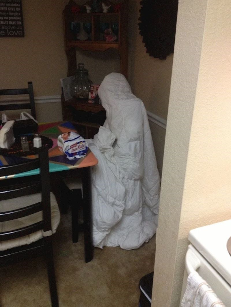 9. "Moja žena je ovako složila prekrivač i ostavila da se suši. Ja to nisam znao i kad sam došao s posla sam se prepao"