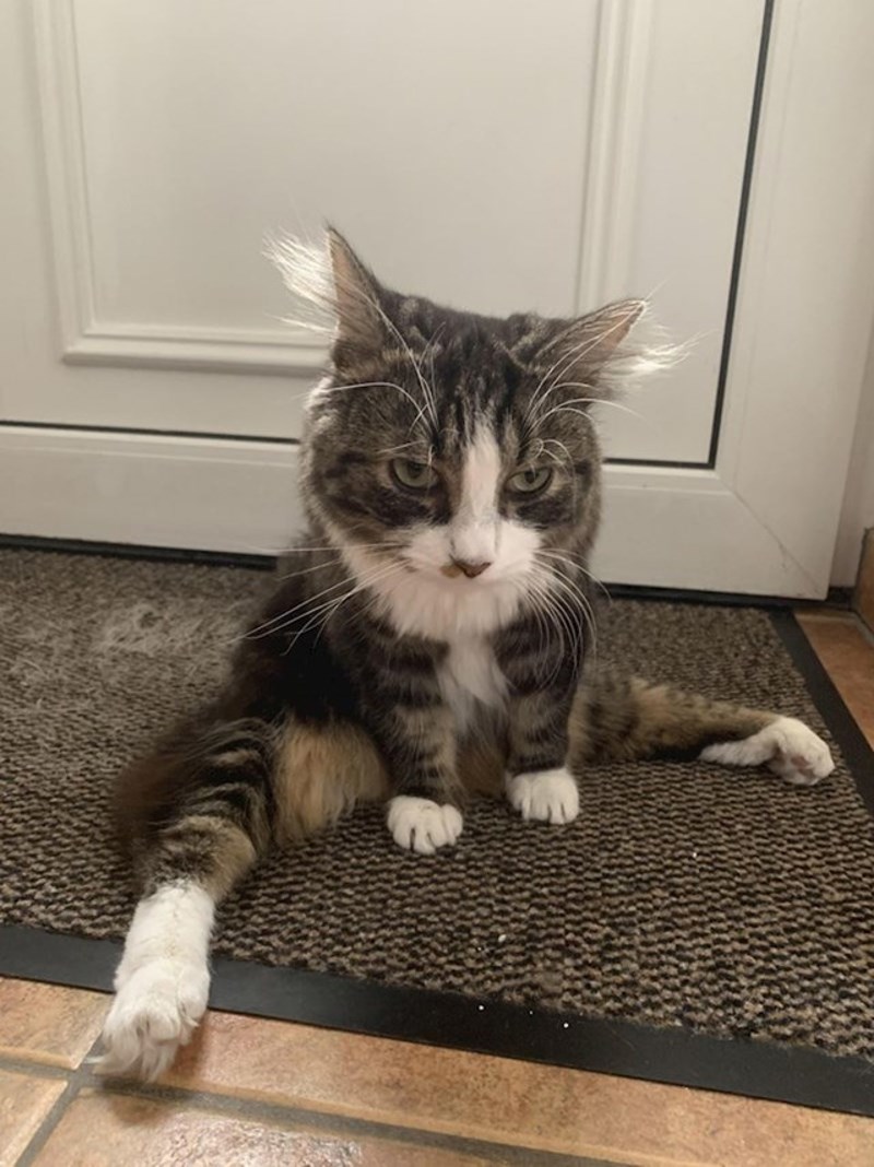 On barem može napraviti špagu 😄