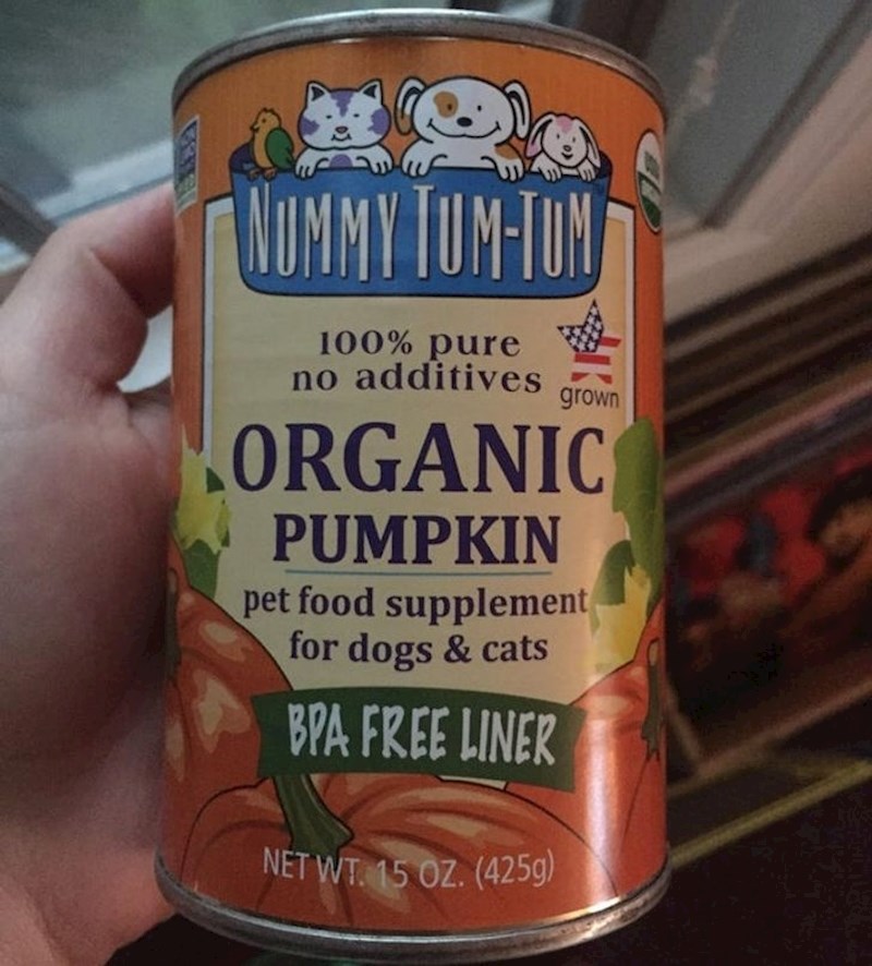 "Planirala sam napraviti pitu od bundeve i trebali su mi sastojci pa sam poslala dečka u trgovinu. Donio mi je hranu za životinje s okusom bundeve..."