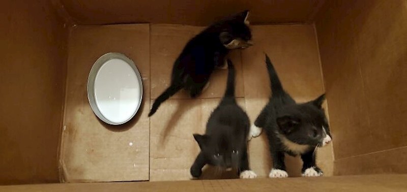 17. Bez ovoga nažalost ne može proći... 😭