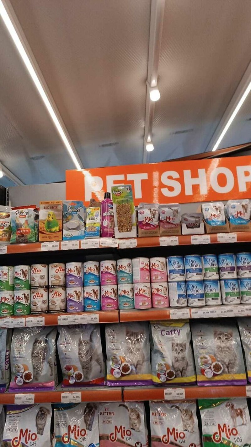 A na ovoj slici se nalazi i jedna prava životinja. Samo, gdje se sakrila?