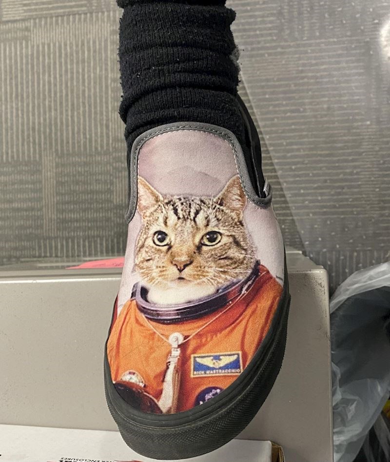 6. Ovo je za prave ljubitelje mačaka