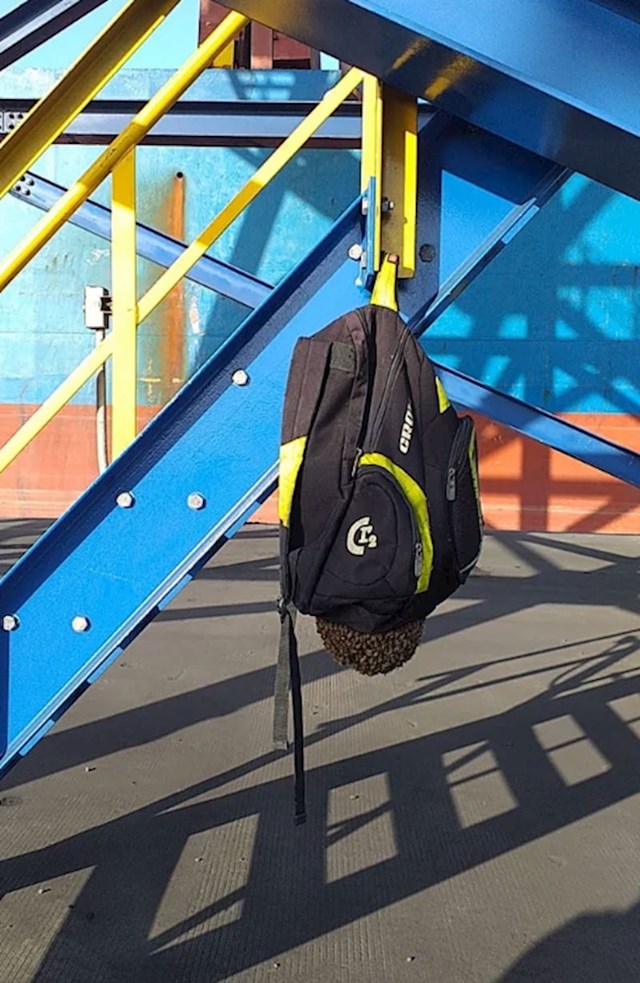 "Prijatelj je ovako ostavio ruksak na nekih 20-ak minuta, a onda je ugledao ovaj horor prizor"