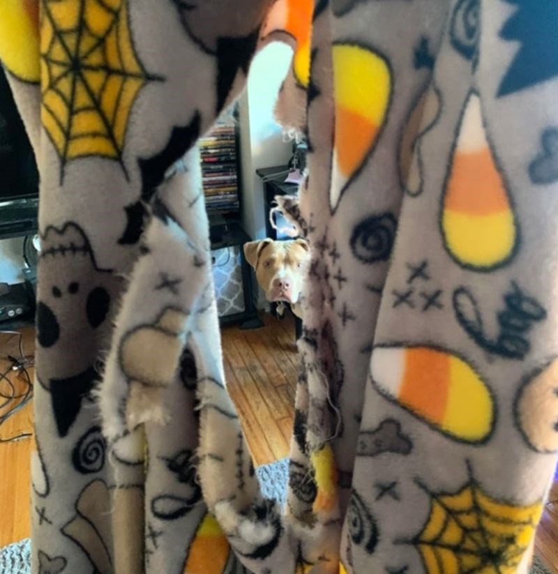 5. Ma samo se malo igrao 😄