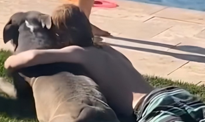 Žena je snimila dirljiv trenutak između psa i svog sina, video će vas raznježiti