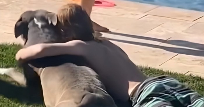 Žena je snimila dirljiv trenutak između psa i svog sina, video će vas raznježiti
