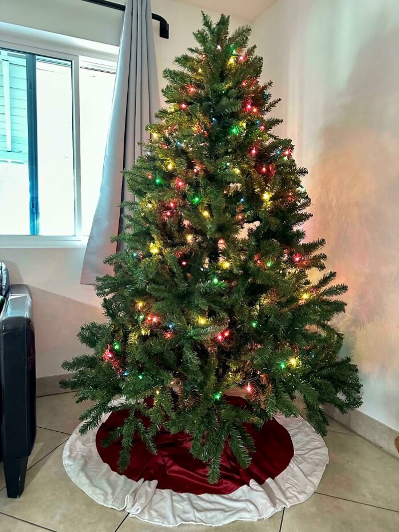 I u ovom boru se krije mačka, vidite li gdje je?