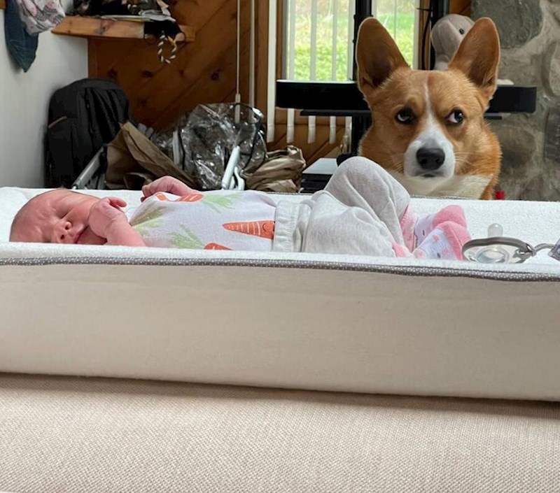 2. "Ostao je 'čuvati' bebu, a zapravo samo želi da mu odem dati jesti"