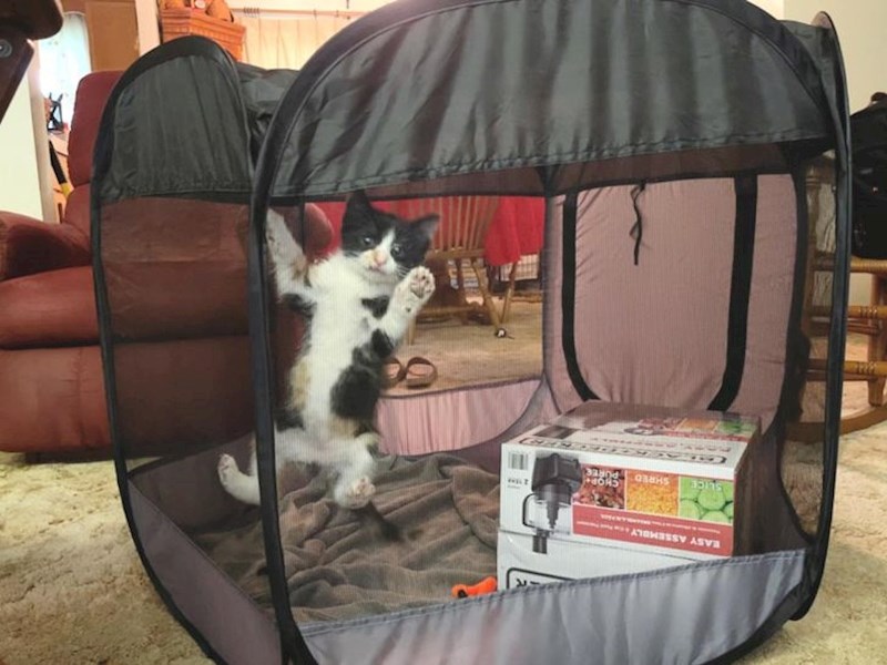 3. "Nije baš oduševljen što smo ga zatvorili"