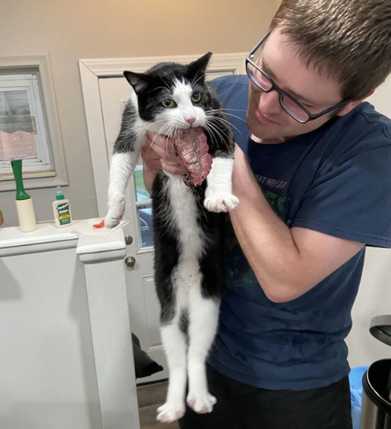 Ukrao im je odrezak 🤣