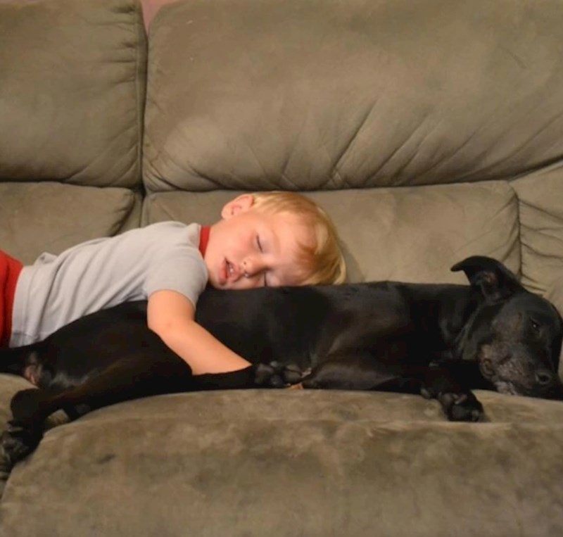 "Najbolji prijatelji"