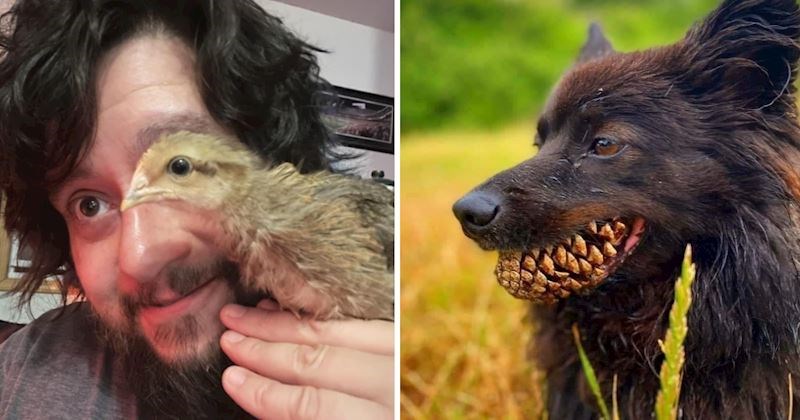 10 zanimljivih fotki koje su ljudi snimili sasvim slučajno, a ispale su baš fora