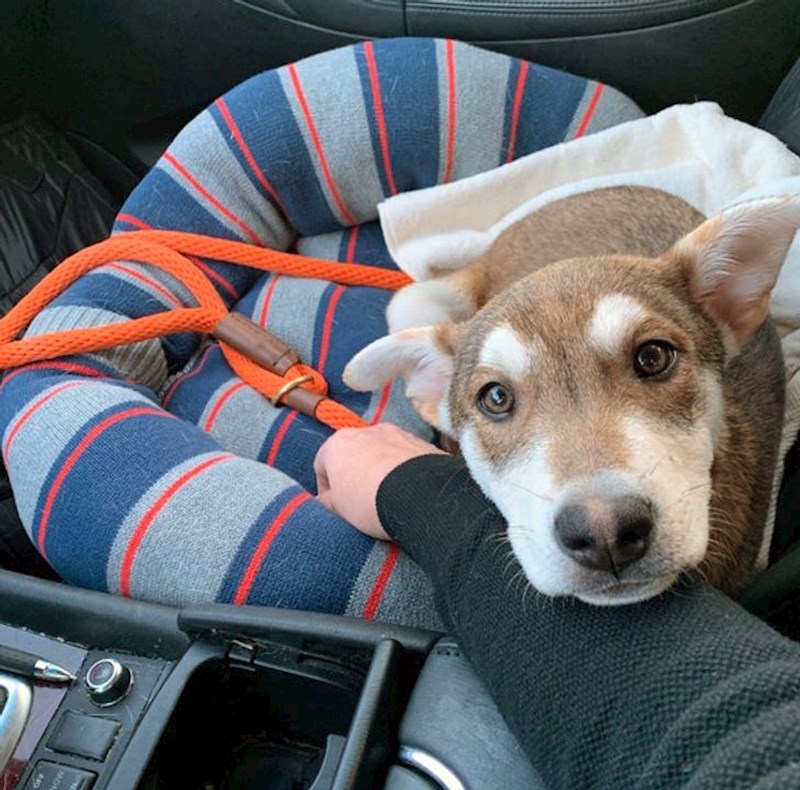 Malena Pepper na putu prema zauvijek domu